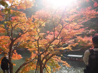 おおはしクリニック11月の糖尿病ニュース