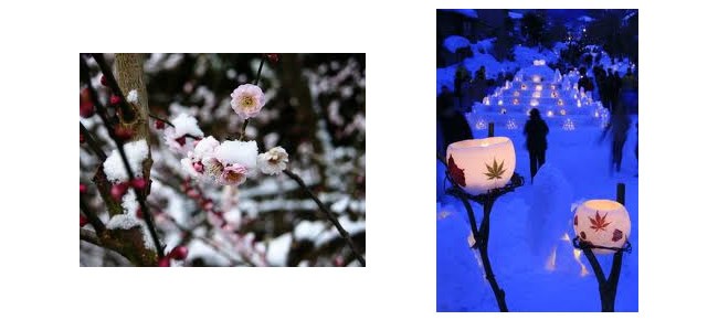 おおはしクリニック