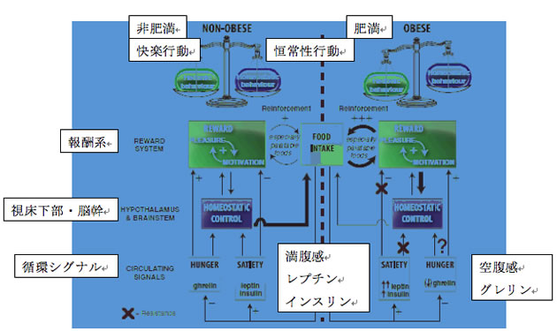 おおはしクリニック