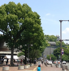 おおはしクリニック