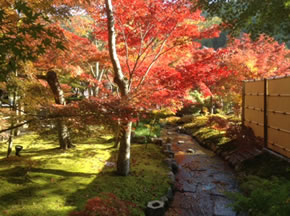 おおはしクリニック