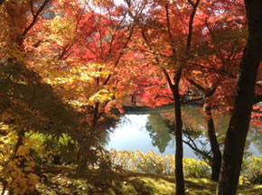 おおはしクリニック