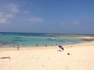 おおはしクリニック