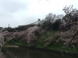 おおはしクリニック