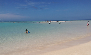 おおはしクリニック