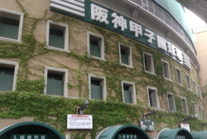 おおはしクリニック