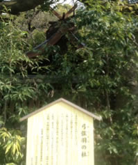 おおはしクリニック