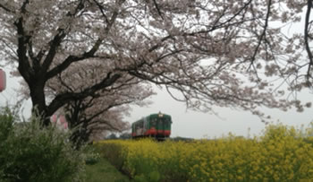 おおはしクリニック