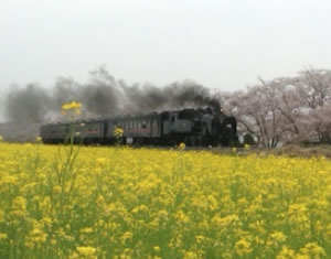 おおはしクリニック