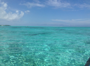 おおはしクリニック