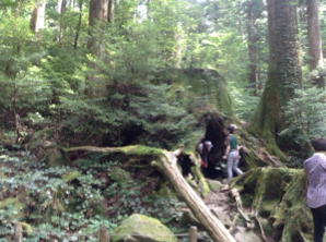 おおはしクリニック