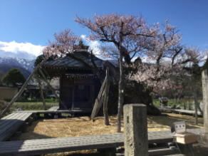 おおはしクリニック