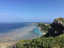 おおはしクリニック