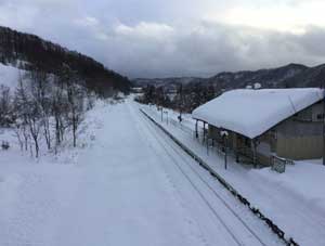 おおはしクリニック