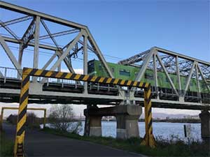 おおはしクリニック