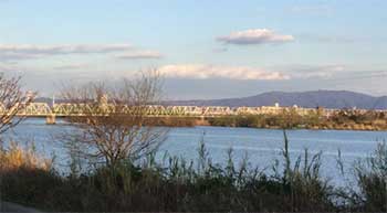 おおはしクリニック