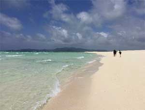 おおはしクリニック