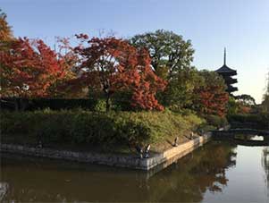 おおはしクリニック