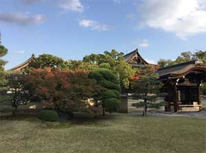 おおはしクリニック