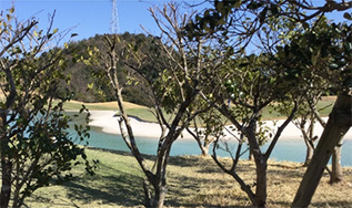 おおはしクリニック