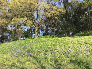 おおはしクリニック