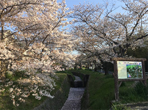 おおはしクリニック