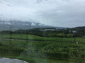 おおはしクリニック