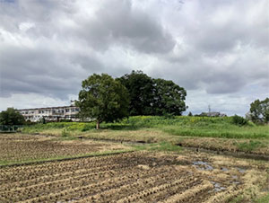 おおはしクリニック