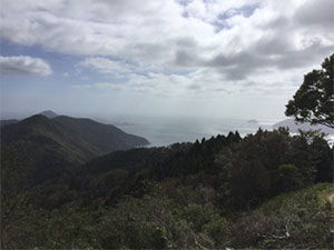 おおはしクリニック