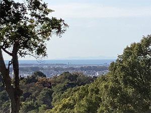 おおはしクリニック