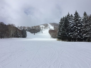 おおはしクリニック