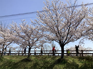 おおはしクリニック