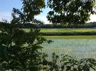 おおはしクリニック