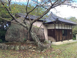 おおはしクリニック