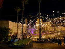 おおはしクリニック