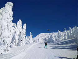 おおはしクリニック