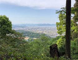 おおはしクリニック