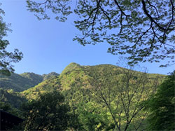 おおはしクリニック