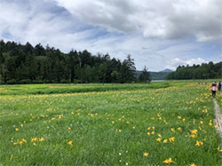 おおはしクリニック