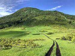 おおはしクリニック