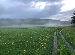 おおはしクリニック