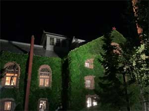 おおはしクリニック