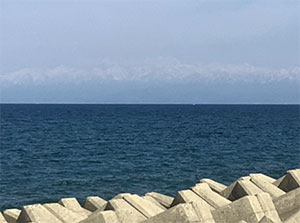 おおはしクリニック