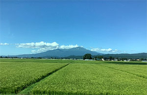 おおはしクリニック