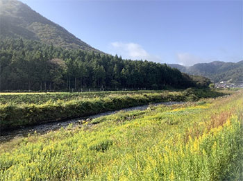 おおはしクリニック