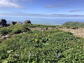 おおはしクリニック