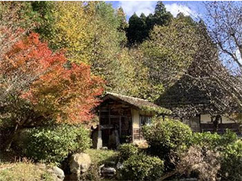 おおはしクリニック