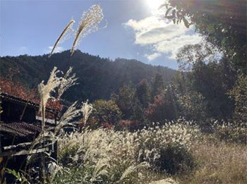 おおはしクリニック