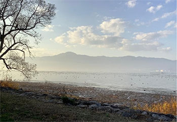 おおはしクリニック