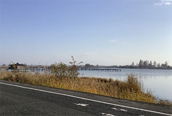 おおはしクリニック